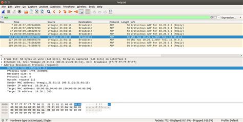 lcfchefe|wireshark arp who has.